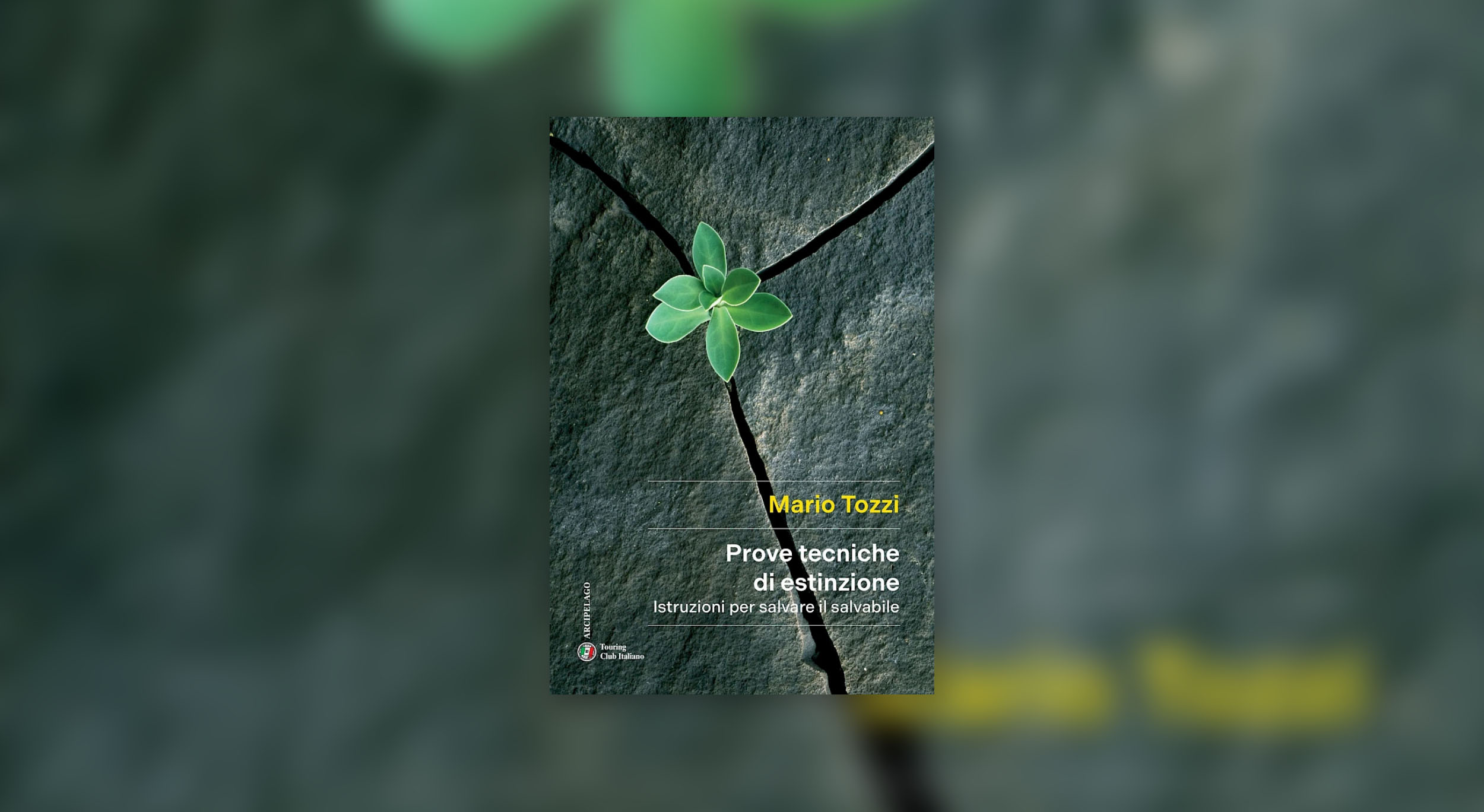 Il Libro Possibile 2025