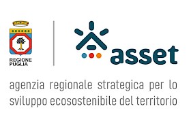 Asset