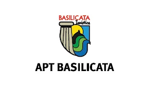 Collab Apt